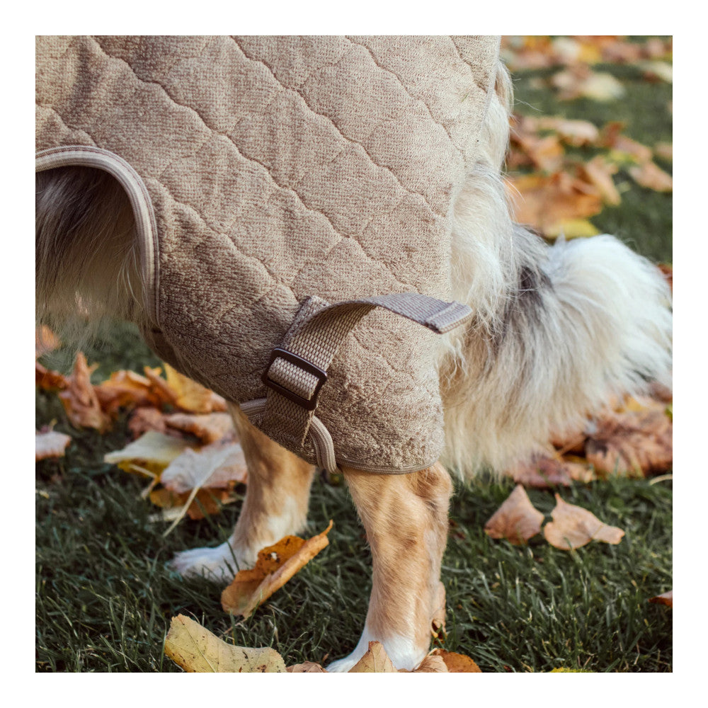 Siccaro - Solution Hundetrockenanzug Elmwood-Ausrüstung für Jagdhunde-Siccaro-GearFreak.de-4