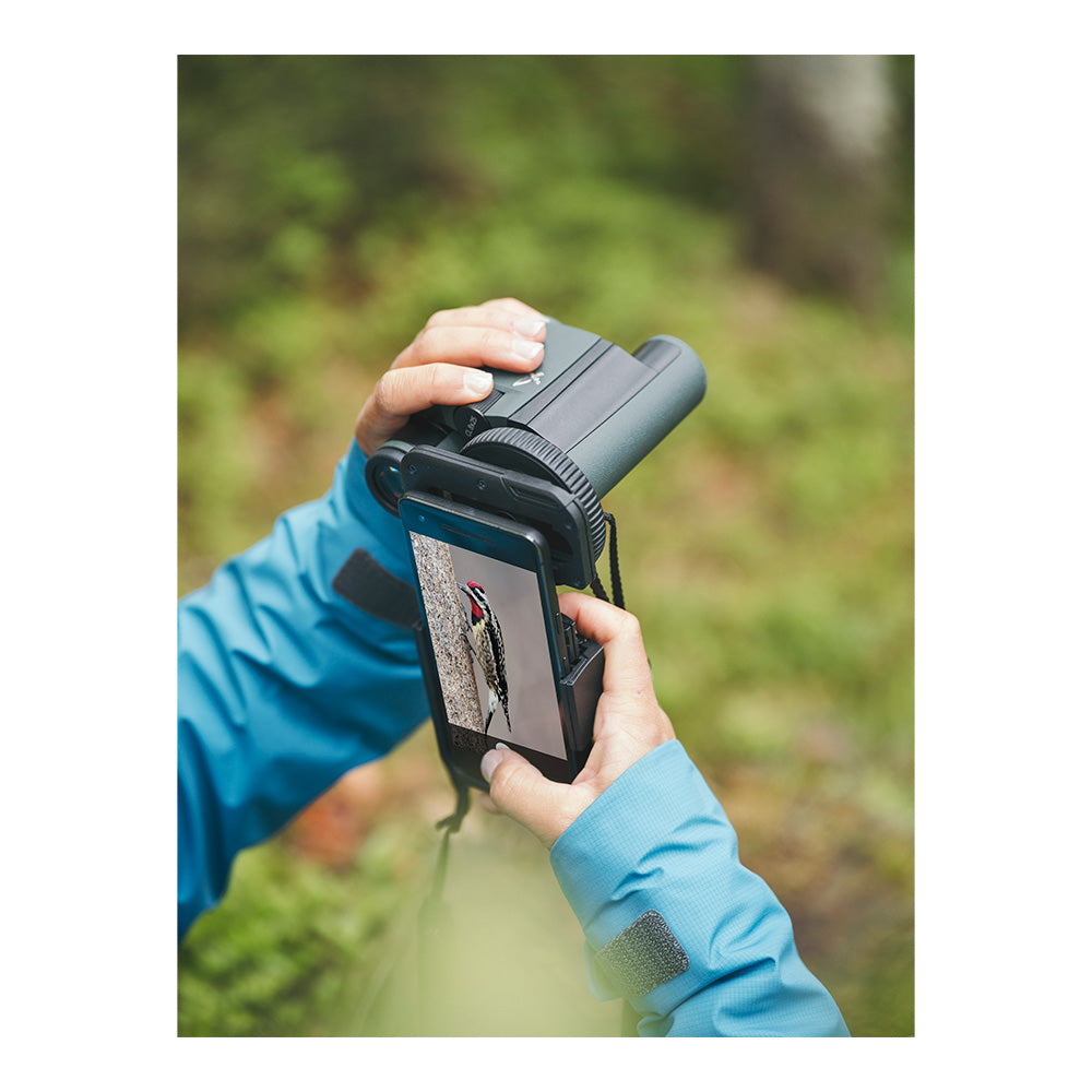 Swarovski - CL Pocket 8x25 Fernglas + Wild Nature // Schwarz