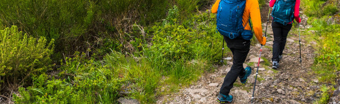Guide für das richtige Schuhwerk-GearFreak.de