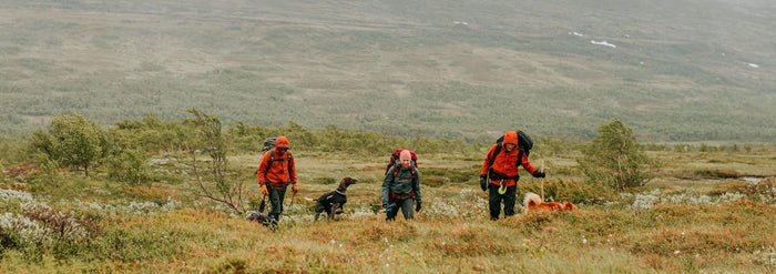 IHR WANDERSCHUH GUIDE-GearFreak.de
