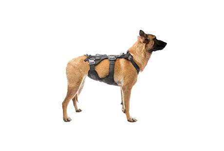 K9 Taktische Hundeausrüstung-GearFreak.de