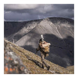 Eberlestock - F1 Mainframe Pack Bærerygsæk // Military Green fra Eberlestock - billede nr. 5 hos GrejFreak.dk