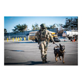 Lowa - Innox PRO Gore-Tex MID TF Støvler // Sort fra Lowa - billede nr. 4 hos GrejFreak.dk