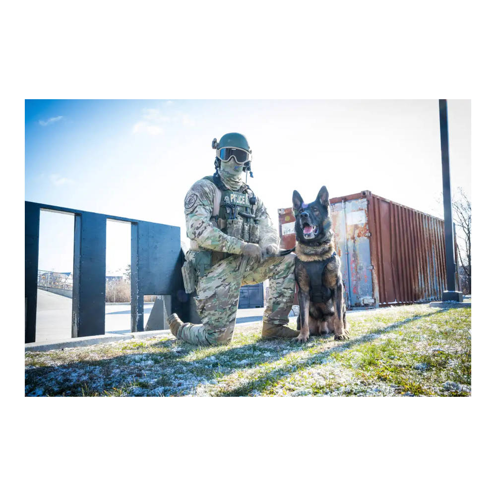 Lowa - Innox PRO Gore-Tex MID TF Støvler // Sort fra Lowa - billede nr. 5 hos GrejFreak.dk