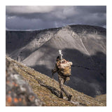 Eberlestock - F1 Mainframe Pack Carrier Rucksack // Militärgrün-Wanderrucksäcke-Eberlestock-GearFreak.de-5