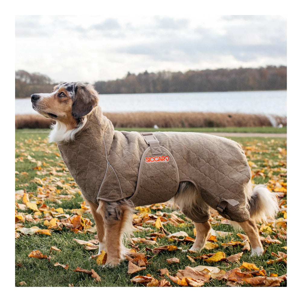 Siccaro - Solution Hundetrockenanzug Elmwood-Ausrüstung für Jagdhunde-Siccaro-GearFreak.de-2