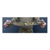 Tardigrade Tactical - Laminatgürtel mit niedrigem Profil // Coyote-Militärgürtel-Tardigrade Tactical-GearFreak.de-3